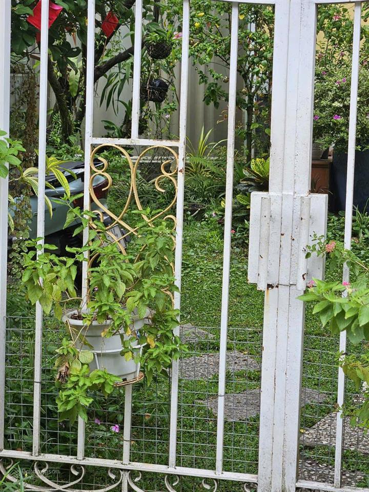 Bất động sản tại Lâm Đồng - ảnh 1