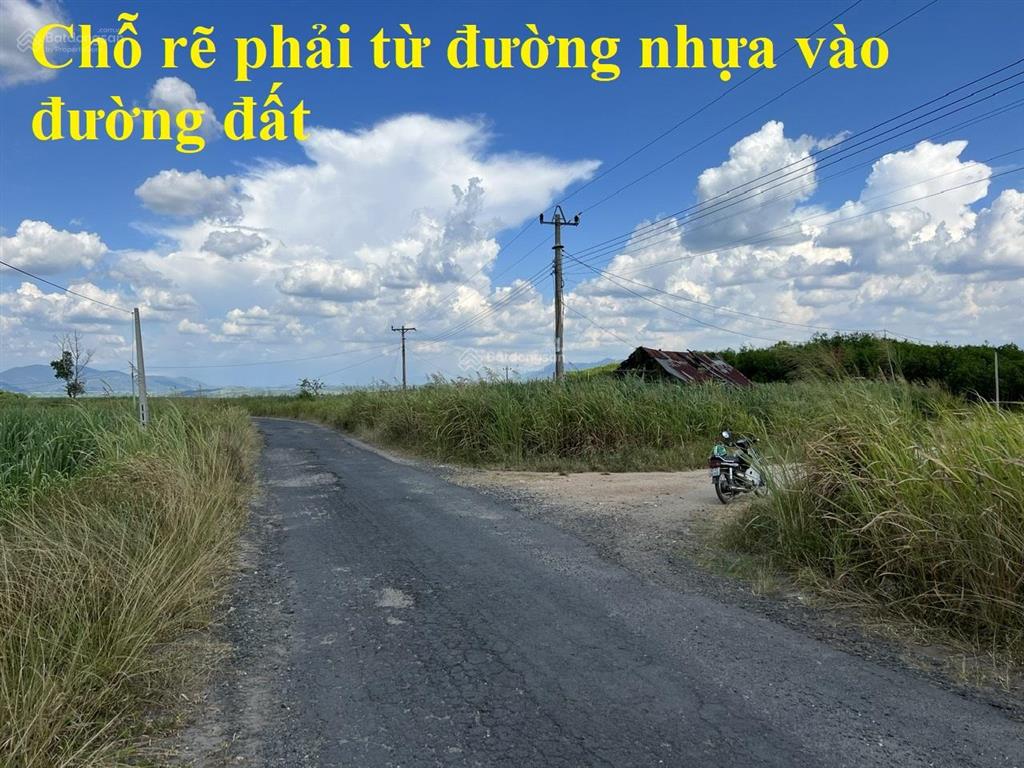 Bất động sản tại Đắk Lắk - ảnh 1