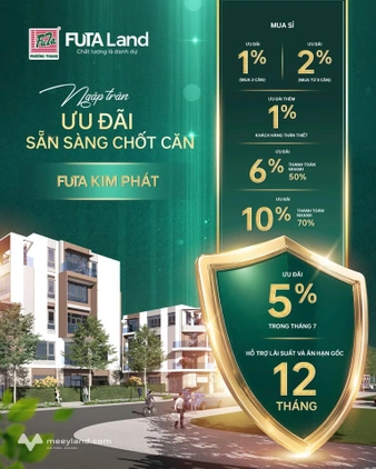 Bất động sản tại Đà Nẵng - ảnh 1