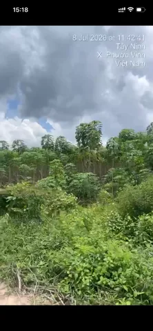 Bất động sản tại Tây Ninh - ảnh 1
