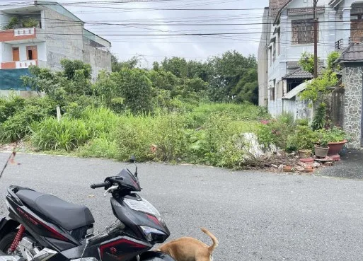 Bất động sản tại Bình Dương - ảnh 1
