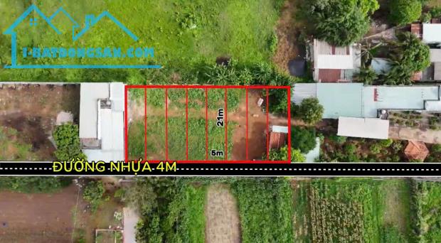 Bất động sản tại Bà Rịa - Vũng Tàu - ảnh 1