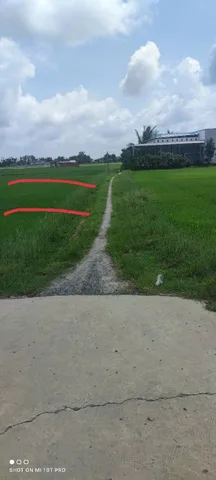 Bất động sản tại Tây Ninh - ảnh 1