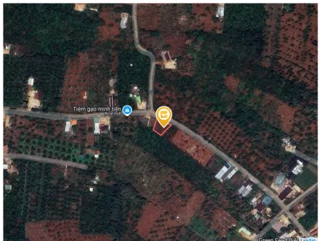 Bất động sản tại Đắk Lắk - ảnh 1