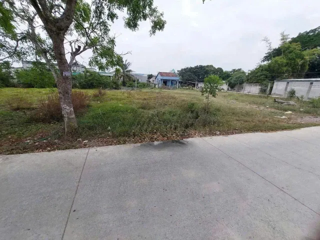 Bất động sản tại Long An - ảnh 1