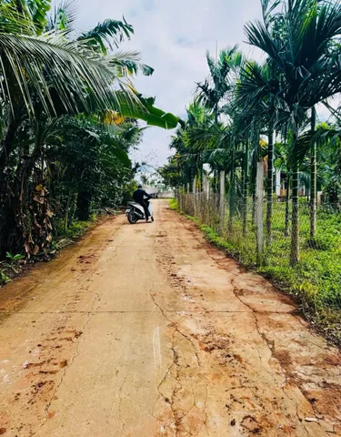 Bất động sản tại Đắk Lắk - ảnh 1