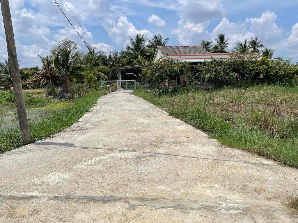 Bất động sản tại Long An - ảnh 1
