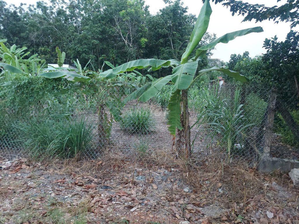 Bất động sản tại Bình Dương - ảnh 1