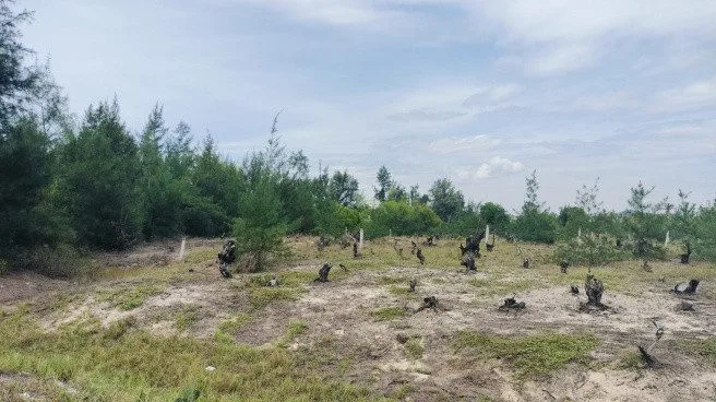 Bất động sản tại Đà Nẵng - ảnh 1