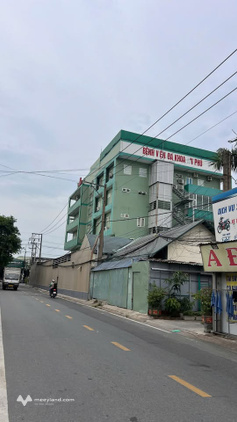 Bất động sản tại Bình Dương - ảnh 1