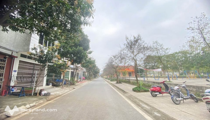 Bất động sản tại Vĩnh Long - ảnh 1