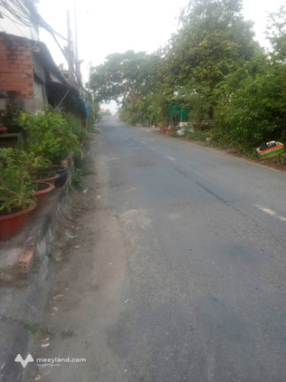 Bất động sản tại Long An - ảnh 1