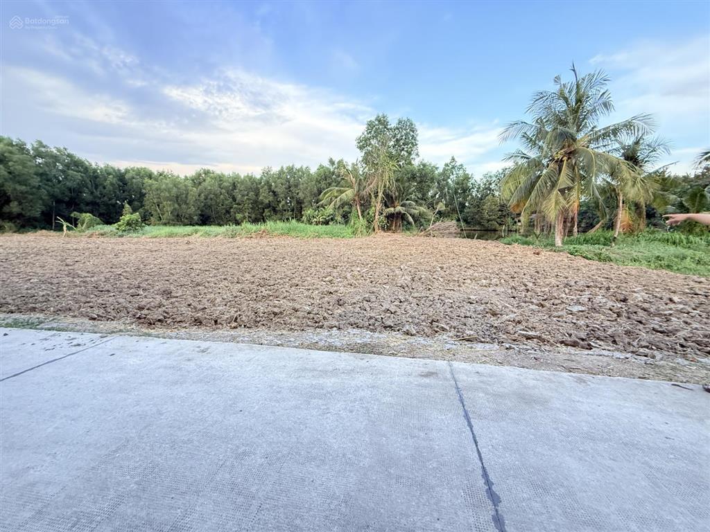 Bất động sản tại Long An - ảnh 1