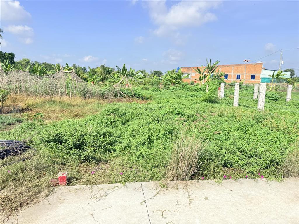 Bất động sản tại Long An - ảnh 1