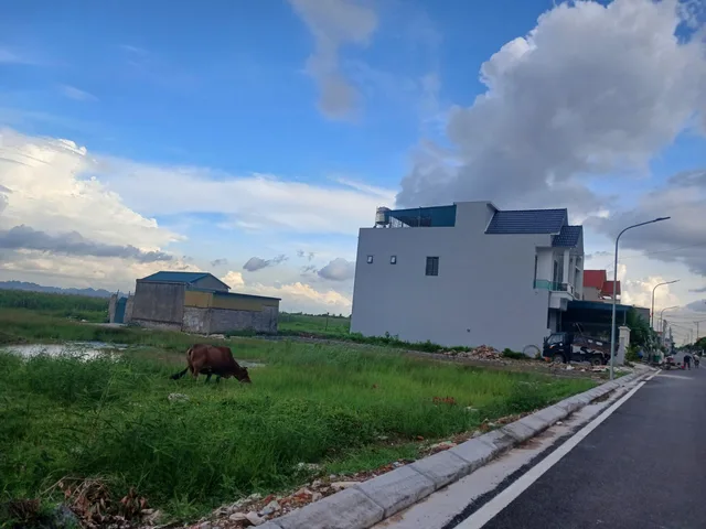 Bất động sản tại Quảng Ninh - ảnh 1