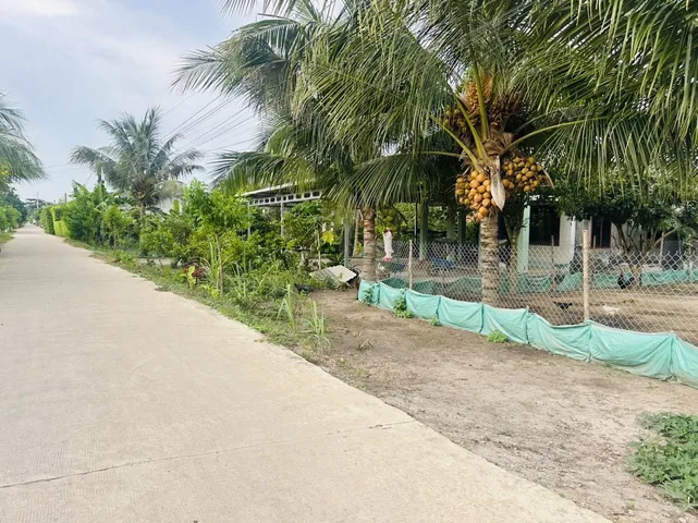 Bất động sản tại Long An - ảnh 1