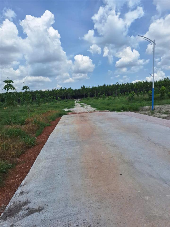 Bất động sản tại Bình Phước - ảnh 1