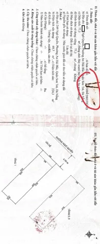 Bất động sản tại Đà Nẵng - ảnh 1