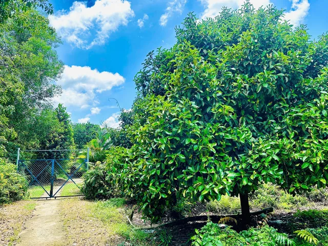 Bất động sản tại Bình Dương - ảnh 1