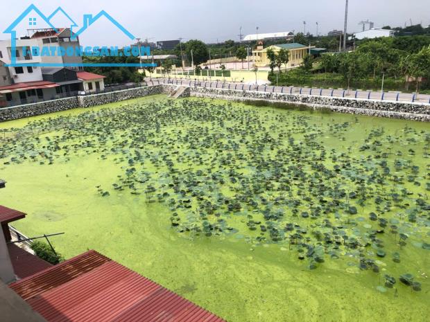 Bất động sản tại Hưng Yên - ảnh 1