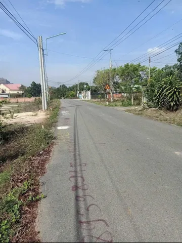 Bất động sản tại Bình Dương - ảnh 1