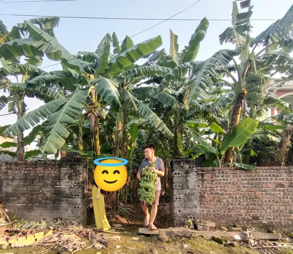 Bất động sản tại Hưng Yên - ảnh 1
