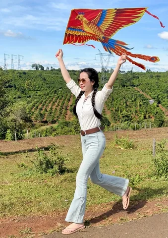 Bất động sản tại Gia Lai - ảnh 1