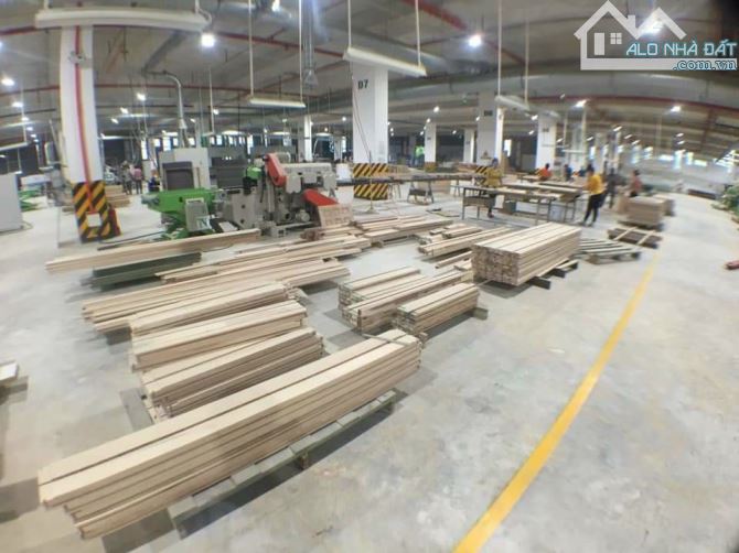 Bất động sản tại Long An - ảnh 1