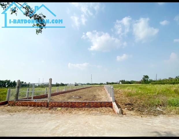Bất động sản tại Long An - ảnh 1