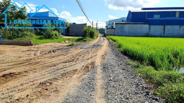 Bất động sản tại Long An - ảnh 1
