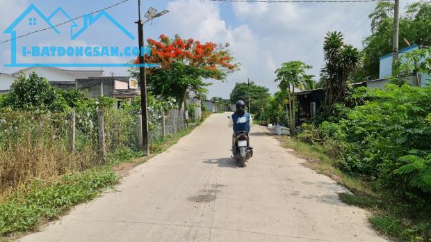 Bất động sản tại Long An - ảnh 1