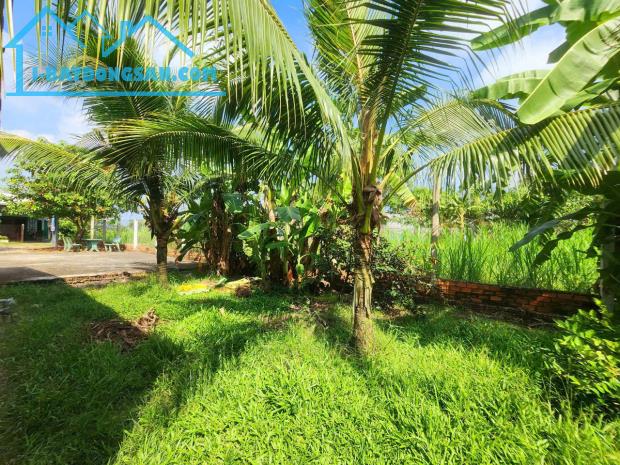 Bất động sản tại Long An - ảnh 1