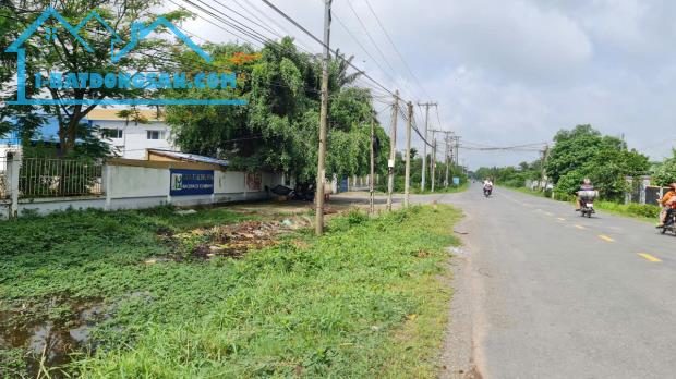 Bất động sản tại Long An - ảnh 1