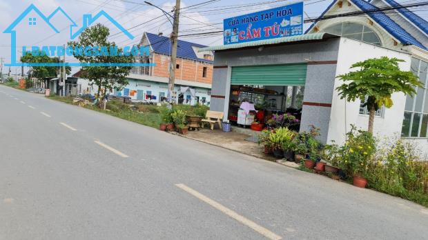 Bất động sản tại Long An - ảnh 1