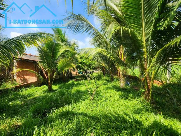 Bất động sản tại Long An - ảnh 1