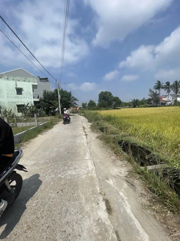 Bất động sản tại Đà Nẵng - ảnh 1