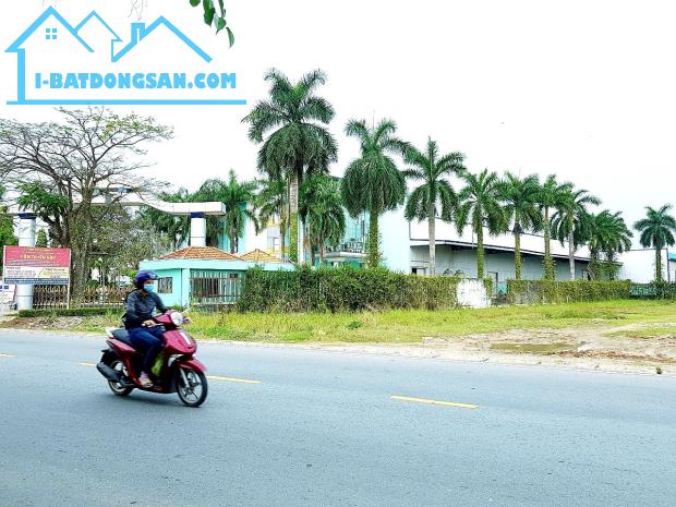 Bất động sản tại Long An - ảnh 1