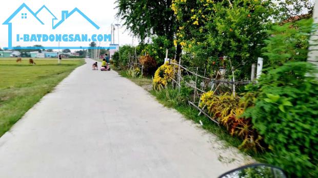 Bất động sản tại Long An - ảnh 1