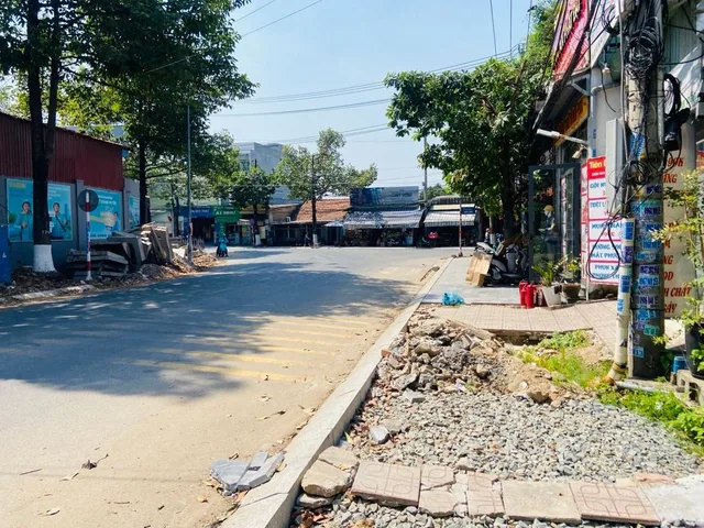 Bất động sản tại Bình Dương - ảnh 1