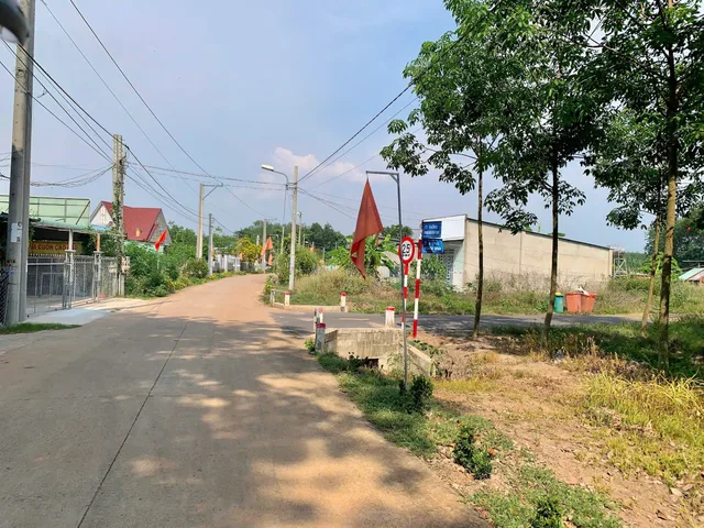 Bất động sản tại Bình Dương - ảnh 1