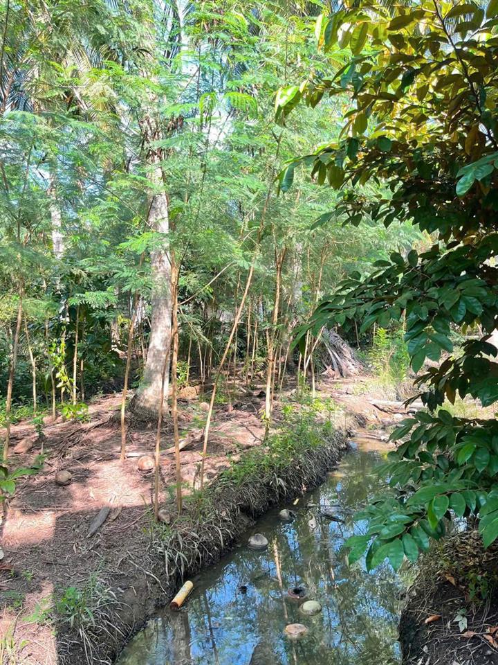 Bất động sản tại Tiền Giang - ảnh 1