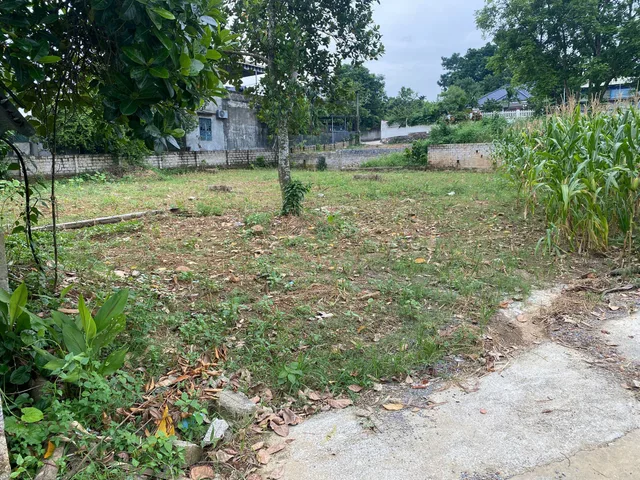 Bất động sản tại Phú Thọ - ảnh 1