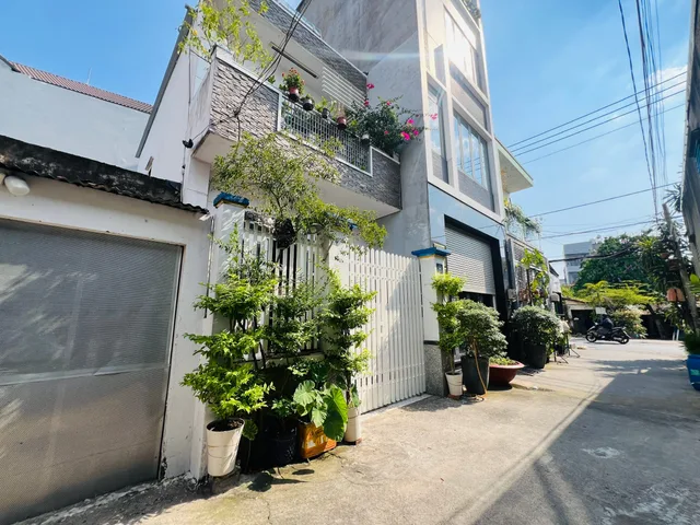 Bất động sản tại TP. Hồ Chí Minh - ảnh 1