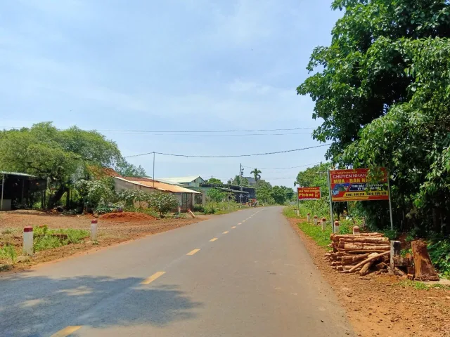 Bất động sản tại Bình Phước - ảnh 1