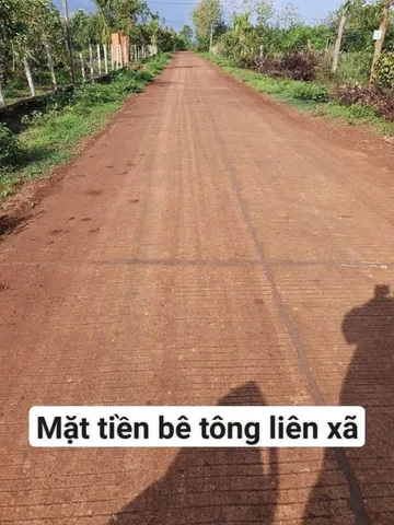 Bất động sản tại Đắk Lắk - ảnh 1