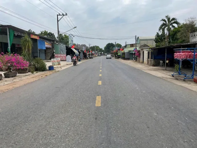 Bất động sản tại Bình Dương - ảnh 1