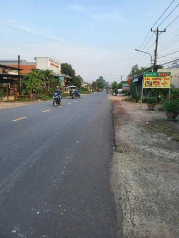 Bất động sản tại Bình Dương - ảnh 1