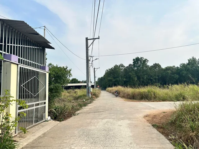 Bất động sản tại TP. Hồ Chí Minh - ảnh 1