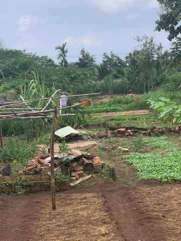 Bất động sản tại Đắk Lắk - ảnh 1
