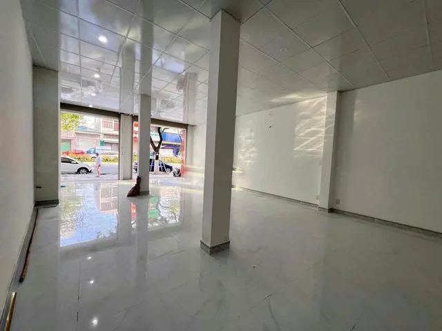Bất động sản tại Đà Nẵng - ảnh 1